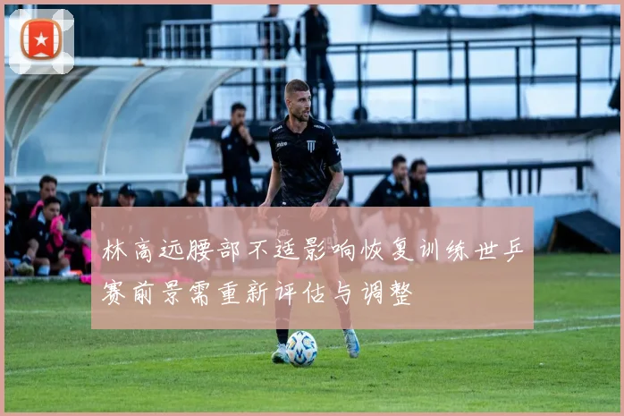 林高远腰部不适影响恢复训练世乒赛前景需重新评估与调整